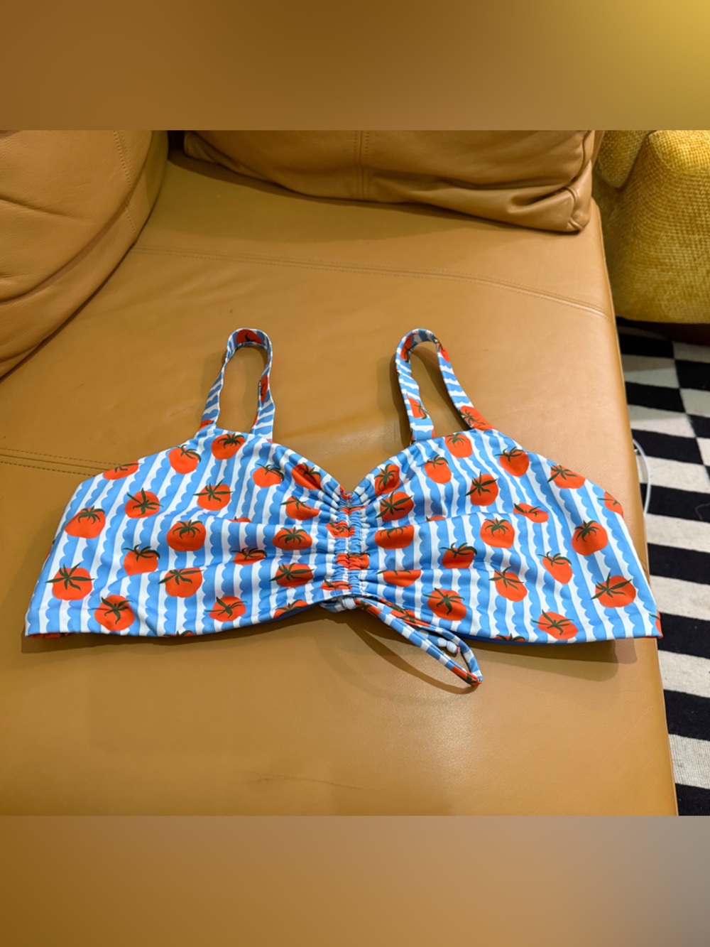 Tomato Print Blue Stripe Bikini Top - Women Swim Bikini